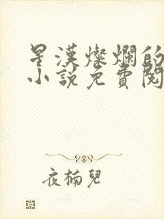 星汉灿烂的原著小说免费阅读封面