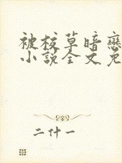 被校草暗恋之后小说全文免费阅读