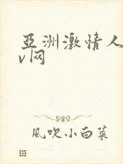 亚洲激情人妻av网