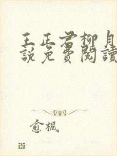 王正君柳月瑶小说免费阅读最新章节