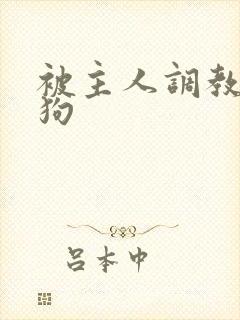 被主人调教成母狗