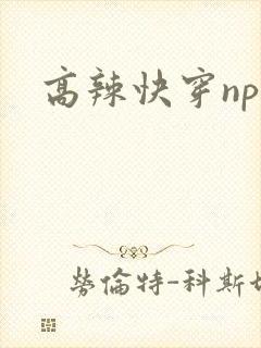 高辣快穿np文封面