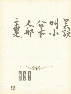 主人公叫吴凯的是哪本小说