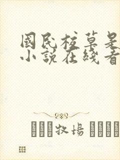 国民校草是女生小说在线看封面