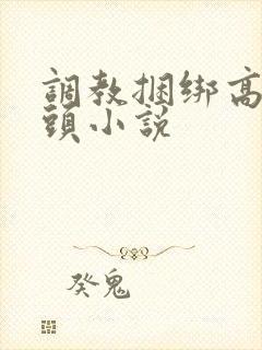 调教捆绑高潮乳头小说