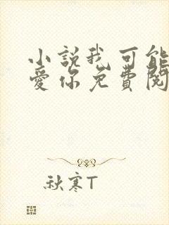 小说我可能不会爱你免费阅读