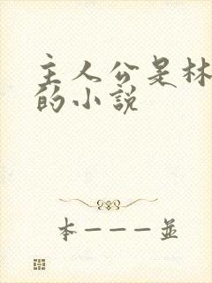 主人公是林慕白的小说