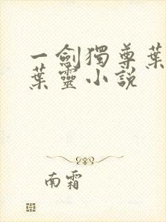 一剑独尊叶玄,叶灵小说