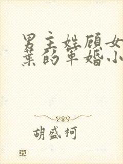 男主姓顾女主姓叶的军婚小说