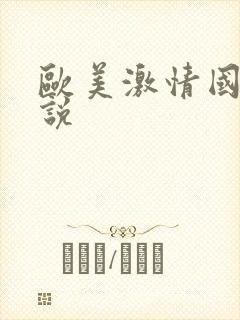 欧美激情国产小说