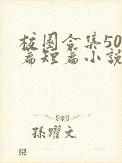 校园合集500篇短篇小说封面