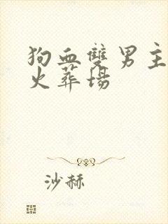 狗血双男主追妻火葬场封面