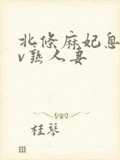 北条麻妃息子av熟人妻