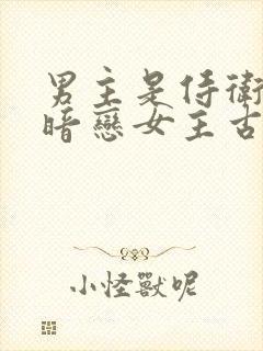 男主是侍卫从小暗恋女主古言