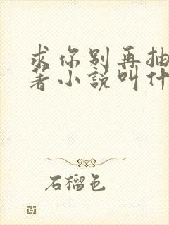 求你别再抽了原著小说叫什么