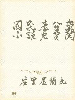 国民老公带回家小说免费阅读全文