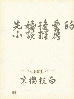 先婚后爱的甜宠小说推荐