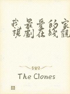 我最爱的家人电视剧在线观看免费封面