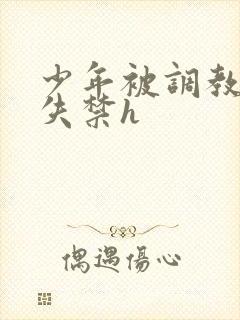 少年被调教爽到失禁h