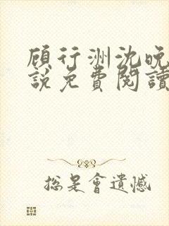 顾行洲沈晚宁小说免费阅读最新章节