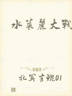 水菜丽大战黑人