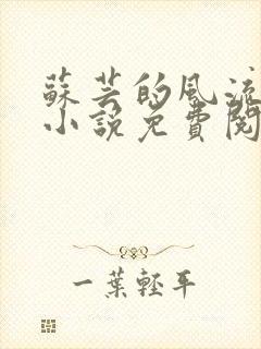 苏芸的风流人生小说免费阅读全文最新章节