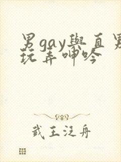 男gay与直男玩弄呻吟