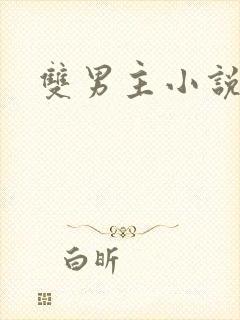 双男主小说美人