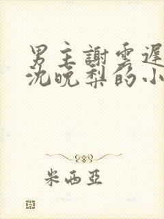 男主谢云迟女主沈晚梨的小说免费阅读封面