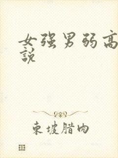女强男弱高h小说