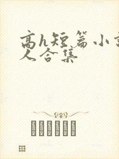 高h短篇小说多人合集