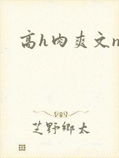 高h肉爽文np