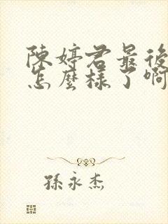 陈婷君最后结局怎么样了啊