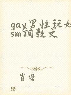 gay男性玩奴sm调教文