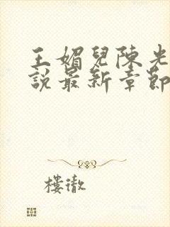 王媚儿陈光达小说最新章节更新时间