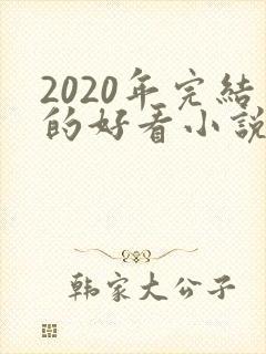 2020年完结的好看小说
