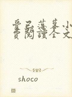 爱已落幕小说免费阅读全文封面