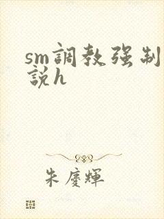 sm调教强制小说h