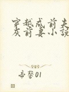 穿越成前夫的炮灰前妻小说