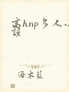 高hnp多人小说