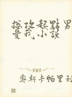 总攻起点男主都爱我小说