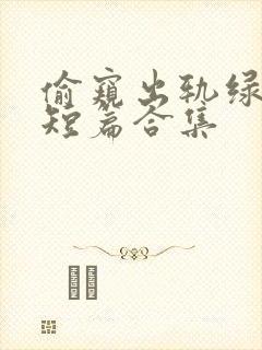 偷窥出轨绿帽癖短篇合集封面