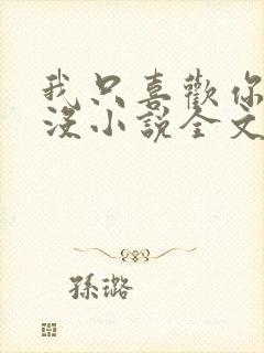 我只喜欢你的人没小说全文免费阅读封面