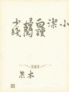 少妇白洁小说在线阅读