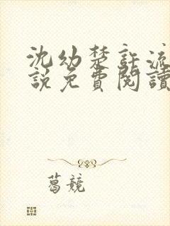 沈幼楚许流年小说免费阅读最新章节