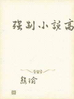 强制小说高h封面