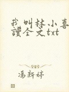 我叫林小喜全阅读全文txt