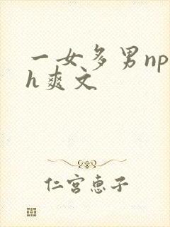 一女多男np高h爽文封面