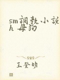 sm调教小说高h 母狗封面