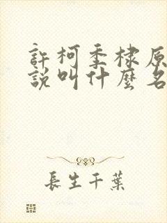 许柯季棣原著小说叫什么名字啊